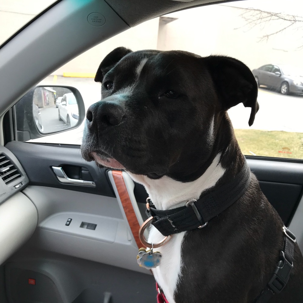 Meet your Posher, Rosamaria